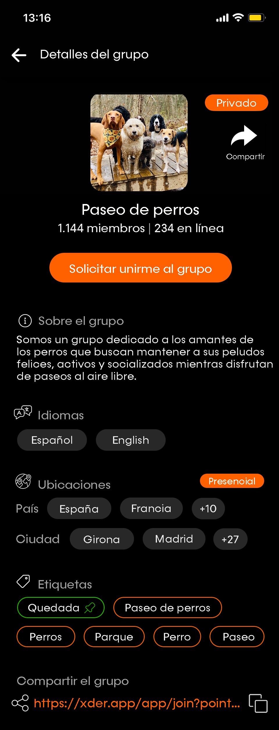 Vista de grupo en Xder: descripción, miembros activos, tags y chat grupal integrado